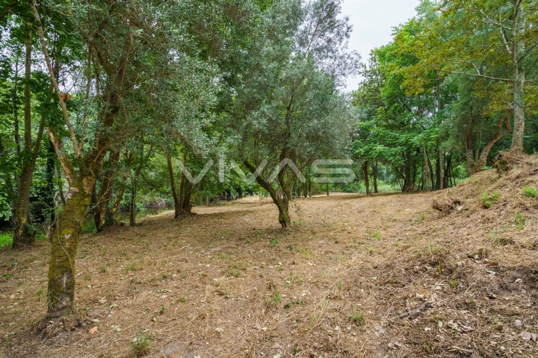 Terreno Agricola ou Rústico para Venda em Soutelo Foto 24