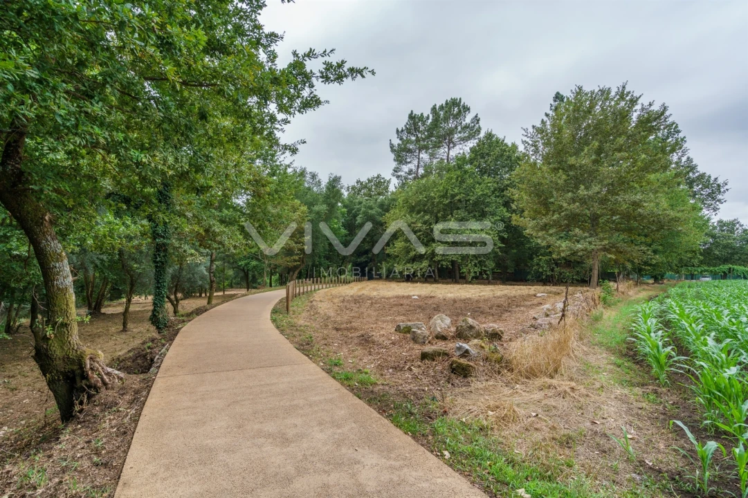 Terreno Agricola ou Rústico para Venda em Soutelo Foto 12