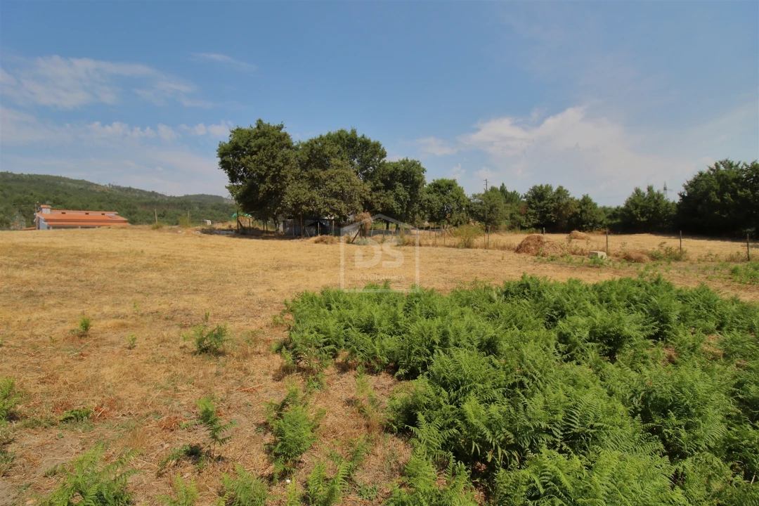 Terreno para Venda em Eja Foto 9