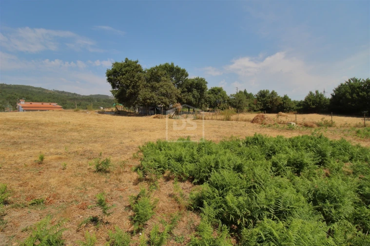 Terreno para Venda em Eja Foto 9
