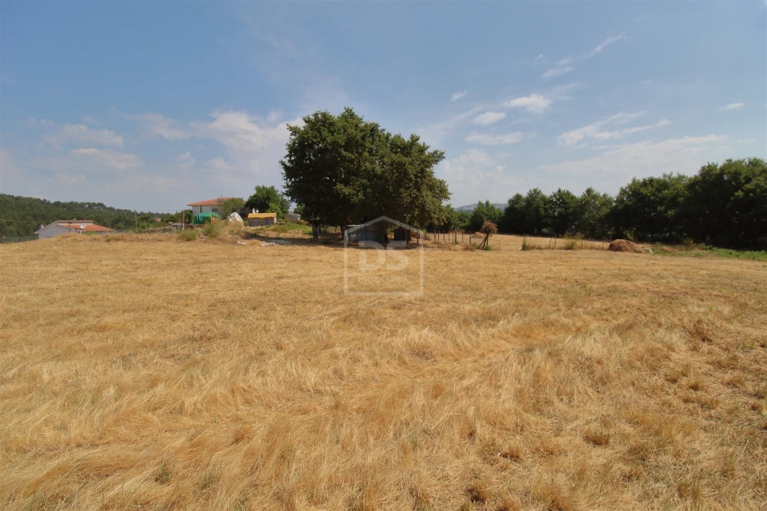 Terreno para Venda em Eja Foto 7