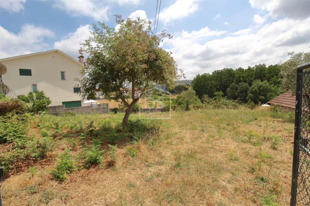 Terreno para Venda em Penafiel Foto 3