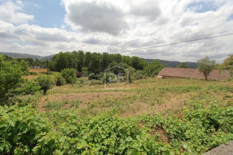 Terreno para Venda em Penafiel Foto 9