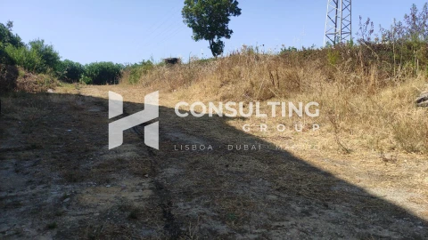 Terreno para Venda em Amora