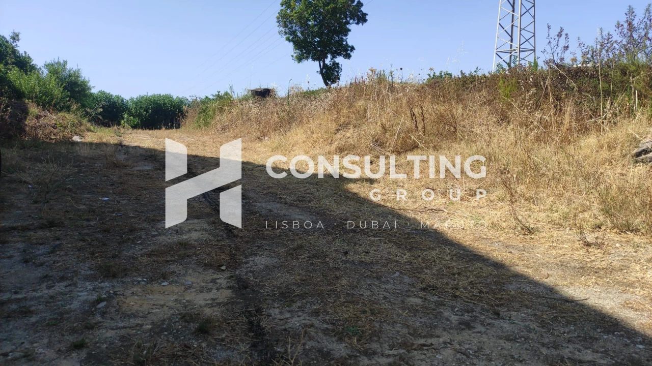 Terreno para Venda em Amora Foto 17