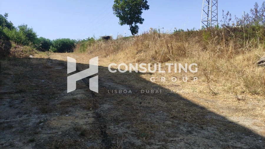 Terreno para Venda em Amora Foto 17