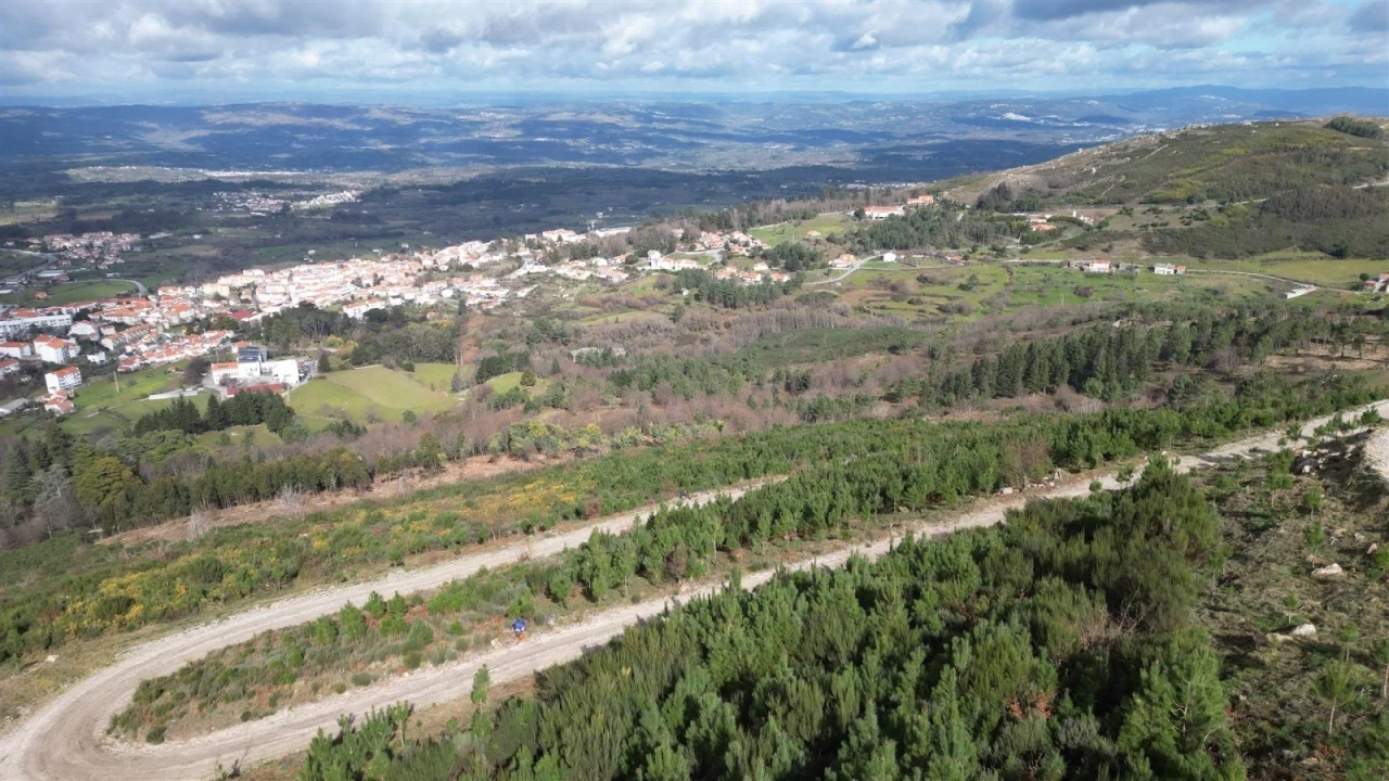 Terreno Agricola ou Rústico para Venda em Gouveia (São Pedro e São Julião) Foto 1