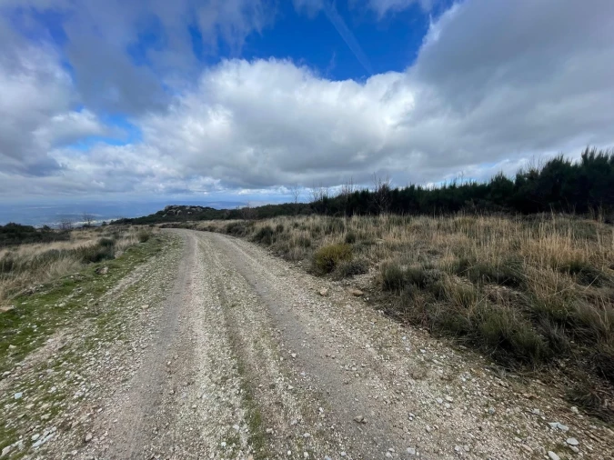 Terreno Agricola ou Rústico para Venda em Gouveia (São Pedro e São Julião) Foto 7
