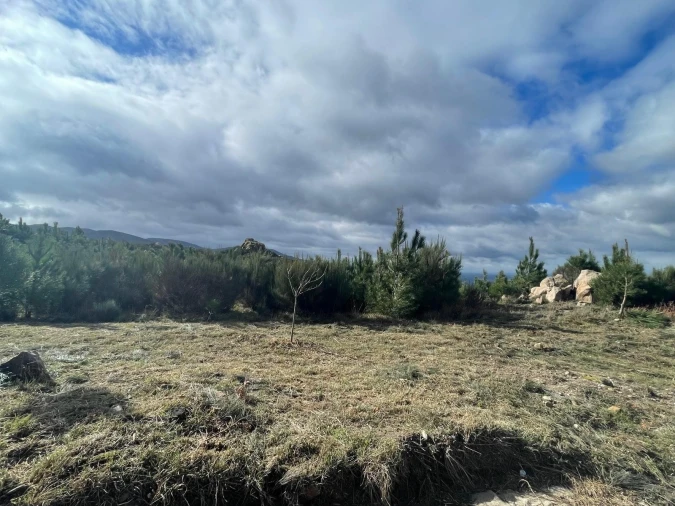 Terreno Agricola ou Rústico para Venda em Gouveia (São Pedro e São Julião) Foto 6