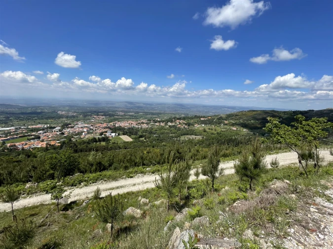 Terreno Agricola ou Rústico para Venda em Gouveia (São Pedro e São Julião) Foto 3
