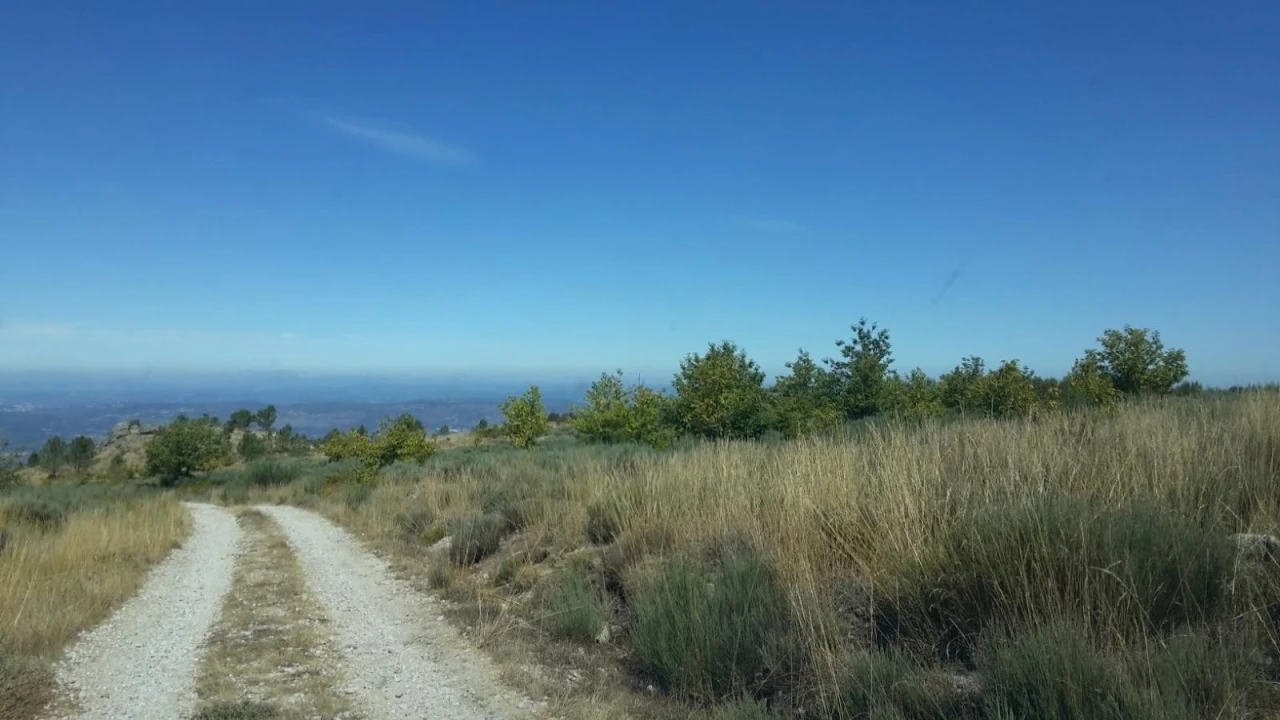 Terreno Agricola ou Rústico para Venda em Gouveia (São Pedro e São Julião) Foto 5