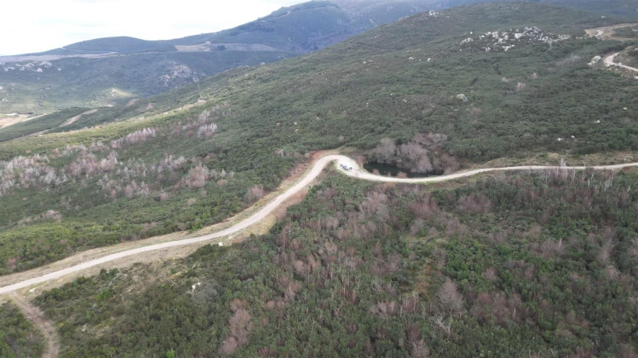 Terreno Agricola ou Rústico para Venda em Gouveia (São Pedro e São Julião) Foto 4