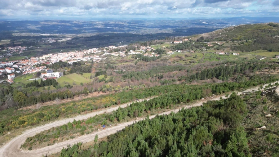 Terreno Agricola ou Rústico para Venda em Gouveia (São Pedro e São Julião)
