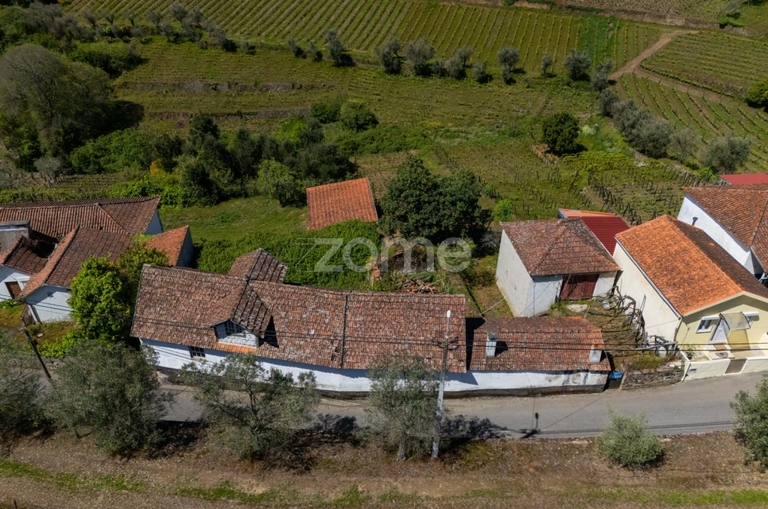 Moradia T4 para Venda em Lobrigos (São Miguel e São João Baptista) e Sanhoane Foto 9
