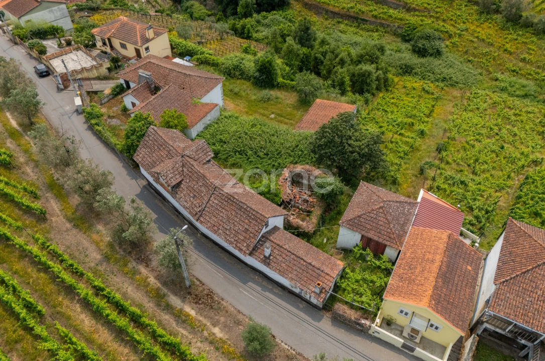 Moradia T4 para Venda em Lobrigos (São Miguel e São João Baptista) e Sanhoane Foto 12