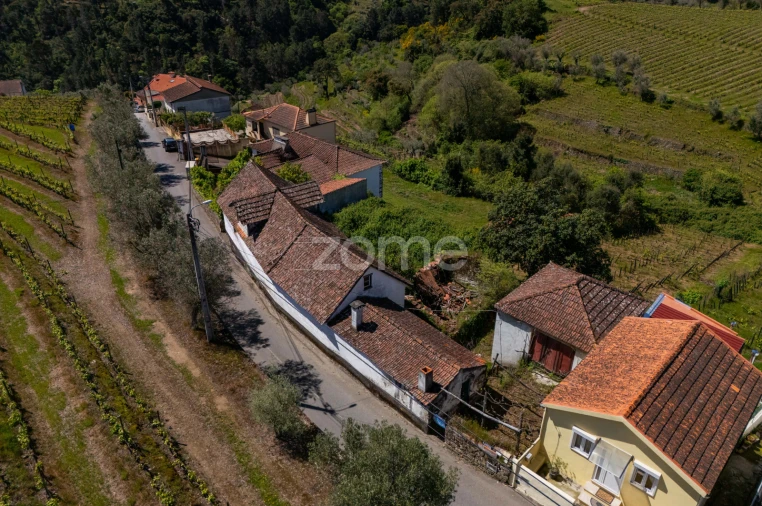 Moradia T4 para Venda em Lobrigos (São Miguel e São João Baptista) e Sanhoane Foto 11