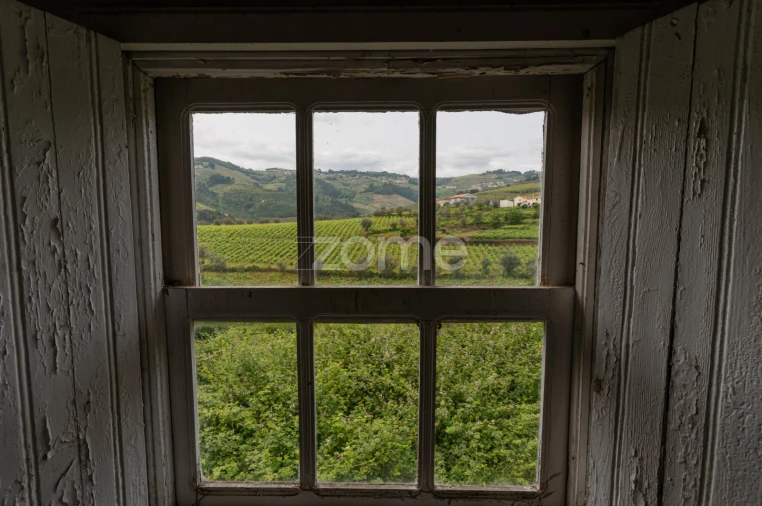 Moradia T4 para Venda em Lobrigos (São Miguel e São João Baptista) e Sanhoane Foto 15