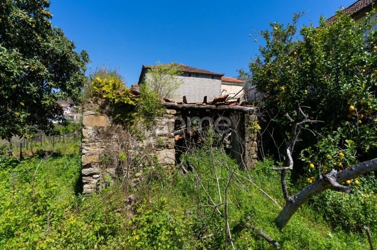Moradia T4 para Venda em Lobrigos (São Miguel e São João Baptista) e Sanhoane Foto 42