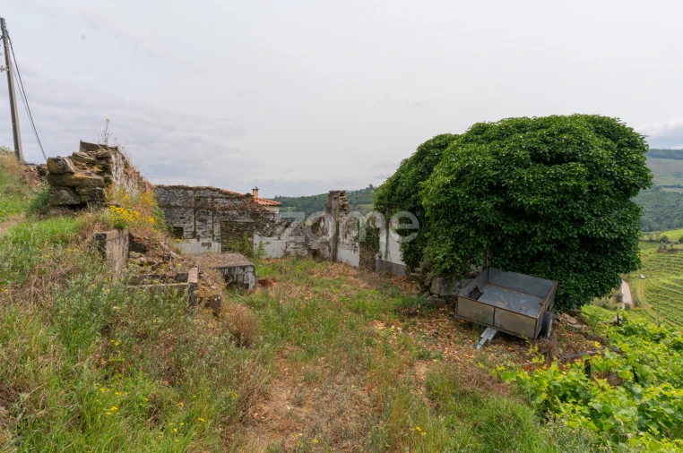 Moradia T4 para Venda em Lobrigos (São Miguel e São João Baptista) e Sanhoane Foto 40