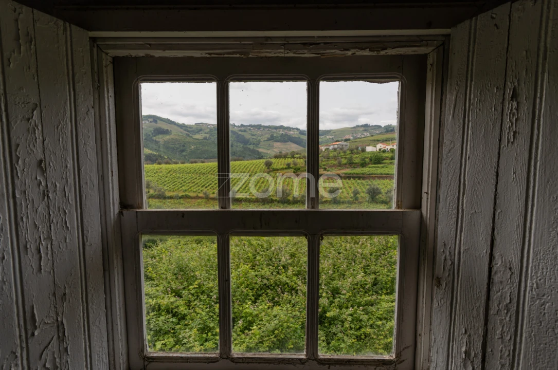 Moradia T4 para Venda em Lobrigos (São Miguel e São João Baptista) e Sanhoane Foto 15