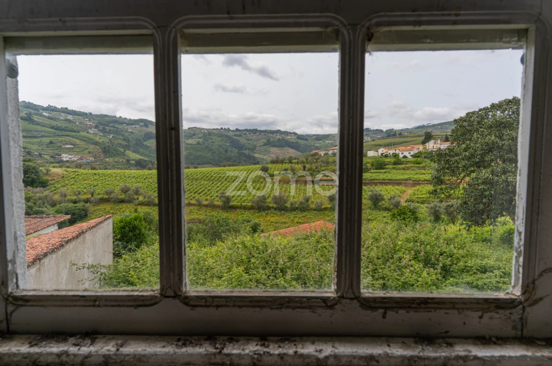 Moradia T4 para Venda em Lobrigos (São Miguel e São João Baptista) e Sanhoane Foto 16