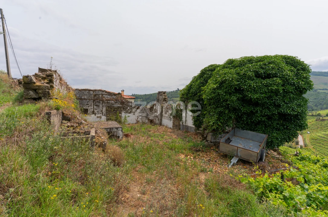 Moradia T4 para Venda em Lobrigos (São Miguel e São João Baptista) e Sanhoane Foto 40