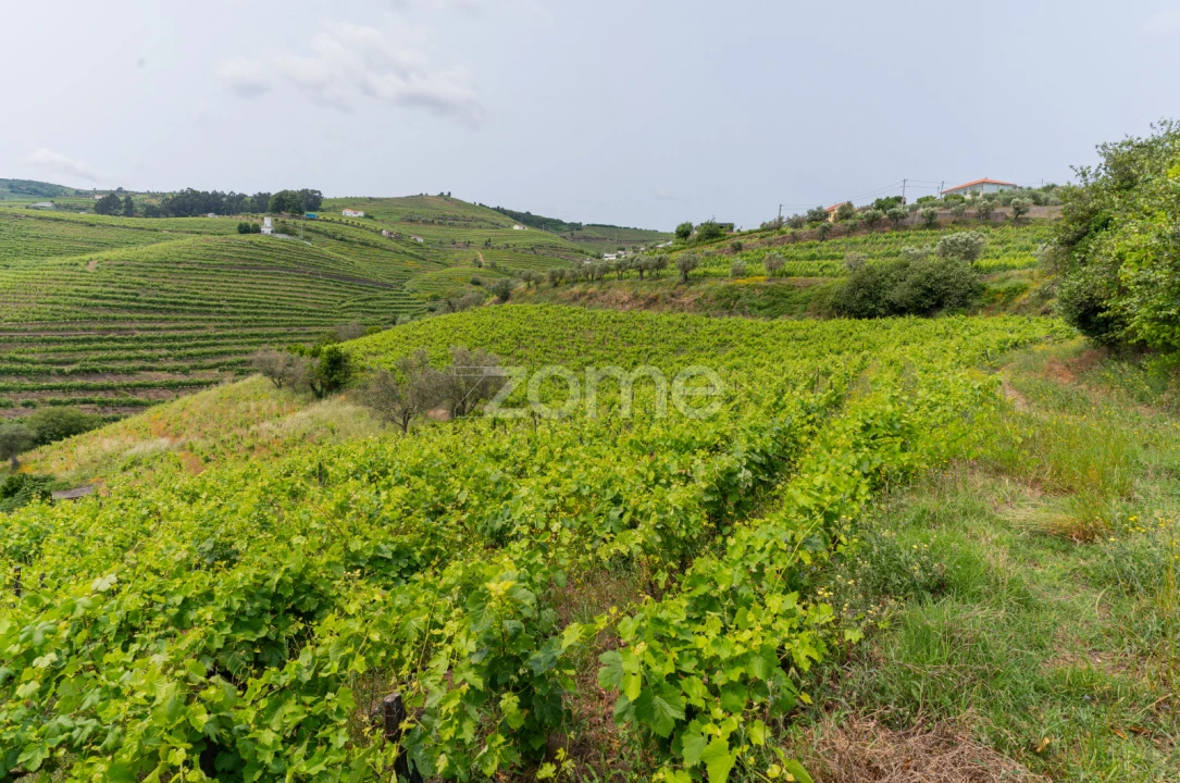 Moradia T4 para Venda em Lobrigos (São Miguel e São João Baptista) e Sanhoane Foto 41