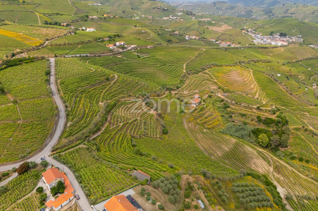 Terreno para Venda em Lobrigos (São Miguel e São João Baptista) e Sanhoane Foto 2