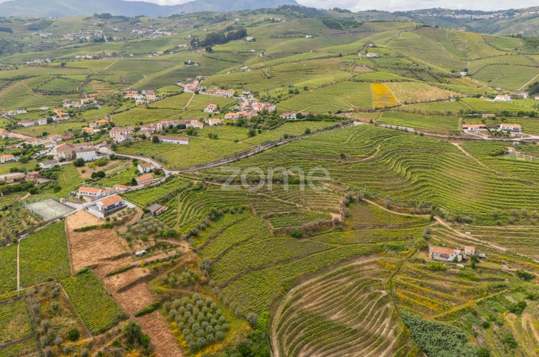 Terreno para Venda em Lobrigos (São Miguel e São João Baptista) e Sanhoane Foto 3