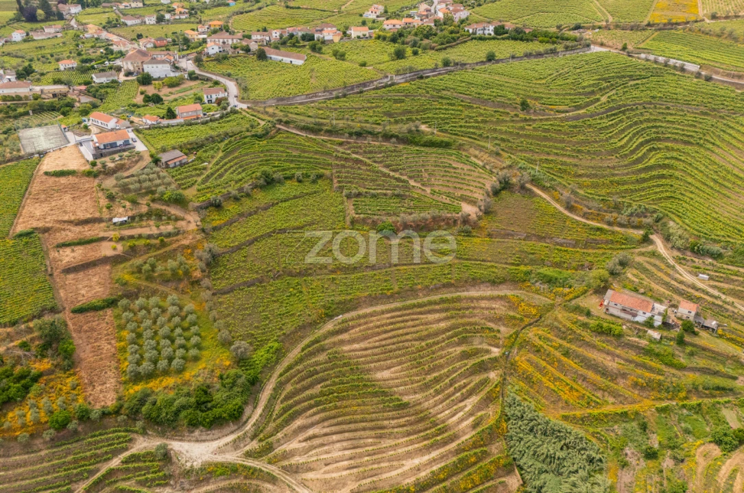 Terreno para Venda em Lobrigos (São Miguel e São João Baptista) e Sanhoane Foto 5