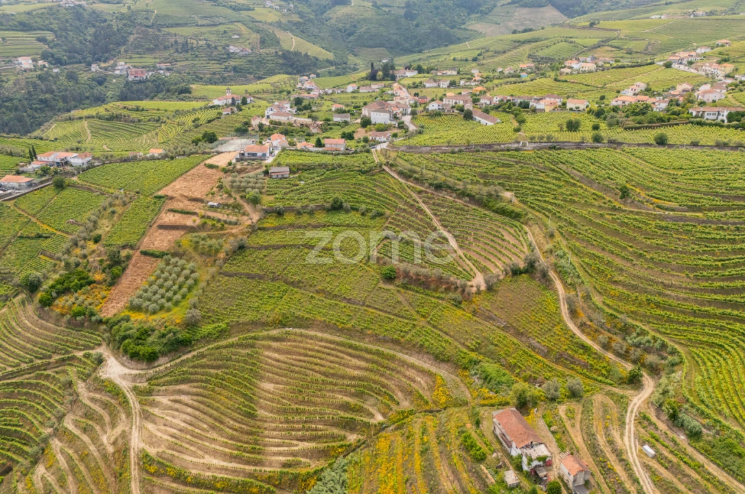 Terreno para Venda em Lobrigos (São Miguel e São João Baptista) e Sanhoane Foto 6