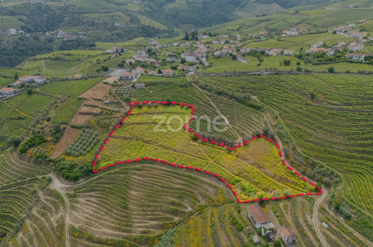 Terreno para Venda em Lobrigos (São Miguel e São João Baptista) e Sanhoane
