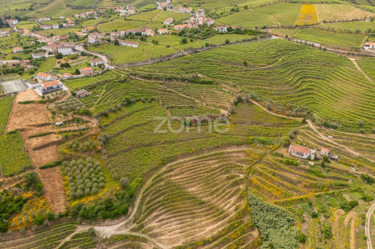 Terreno para Venda em Lobrigos (São Miguel e São João Baptista) e Sanhoane Foto 4