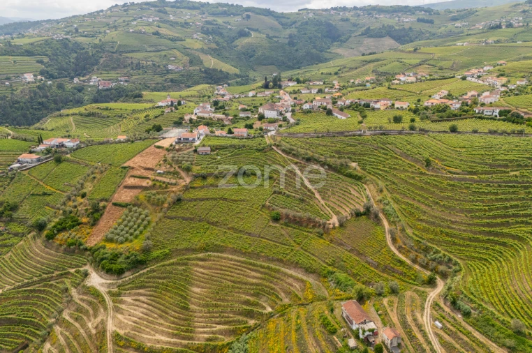 Terreno para Venda em Lobrigos (São Miguel e São João Baptista) e Sanhoane Foto 7