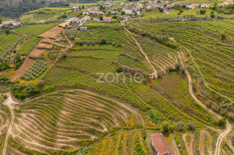 Terreno para Venda em Lobrigos (São Miguel e São João Baptista) e Sanhoane Foto 8