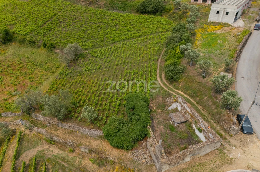 Terreno para Venda em Lobrigos (São Miguel e São João Baptista) e Sanhoane Foto 1