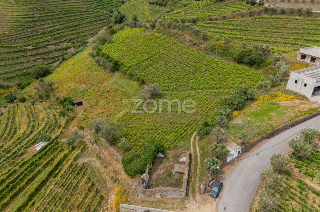 Terreno para Venda em Lobrigos (São Miguel e São João Baptista) e Sanhoane Foto 3