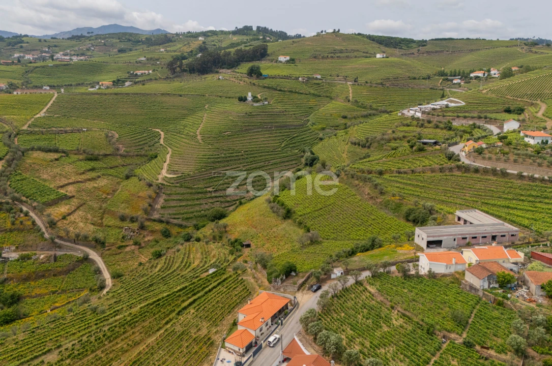 Terreno para Venda em Lobrigos (São Miguel e São João Baptista) e Sanhoane Foto 5