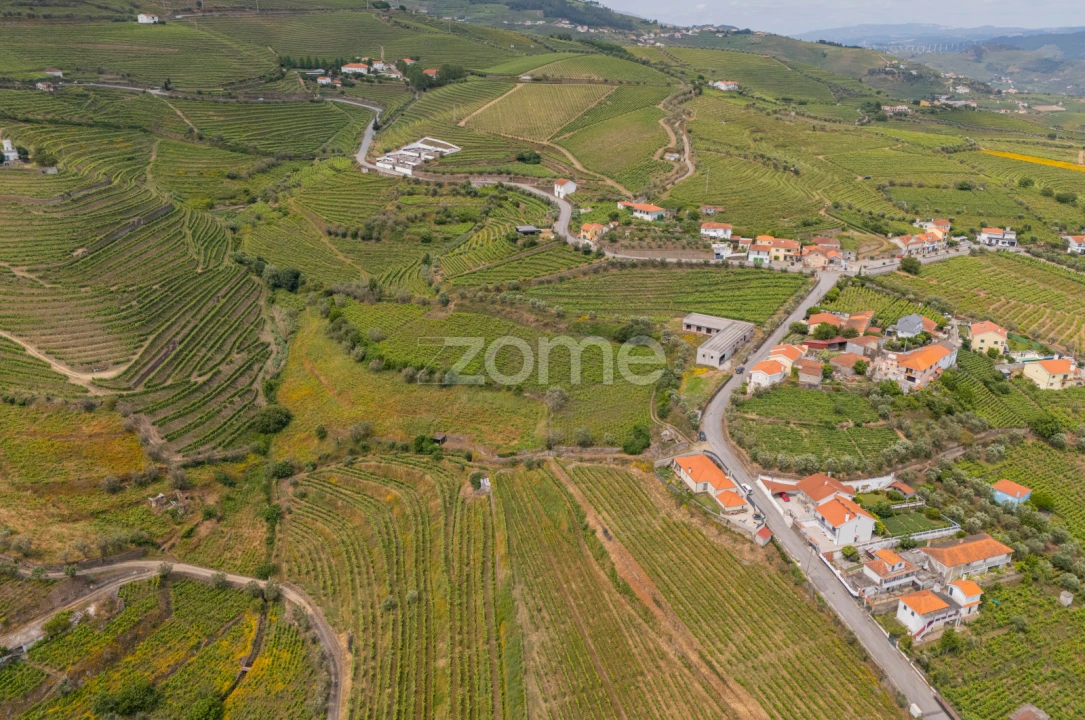 Terreno para Venda em Lobrigos (São Miguel e São João Baptista) e Sanhoane Foto 7