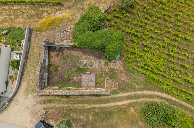 Terreno para Venda em Lobrigos (São Miguel e São João Baptista) e Sanhoane Foto 4