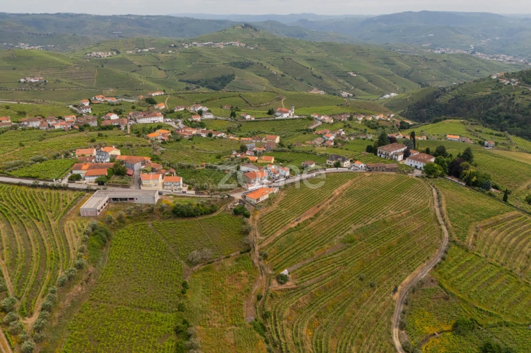 Terreno para Venda em Lobrigos (São Miguel e São João Baptista) e Sanhoane Foto 6