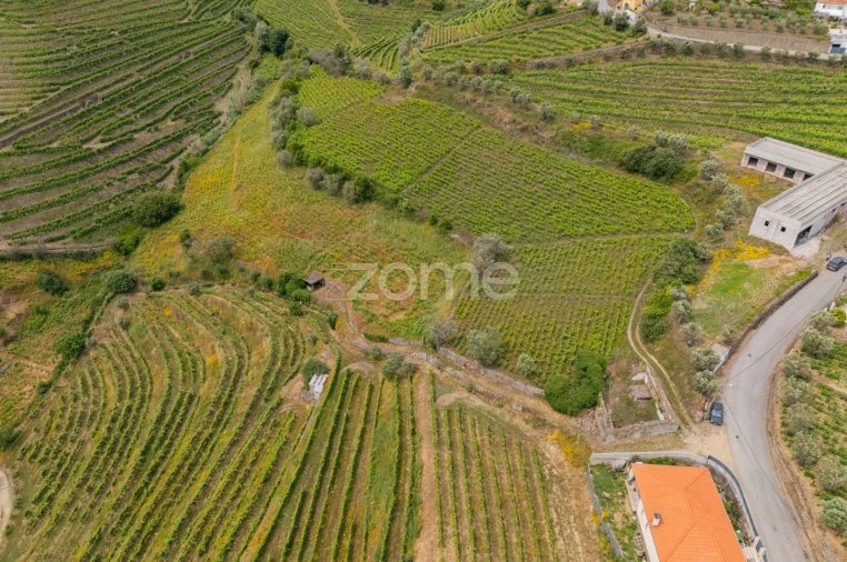 Terreno para Venda em Lobrigos (São Miguel e São João Baptista) e Sanhoane Foto 8