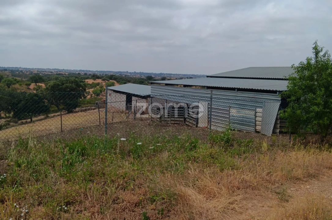 Terreno para Venda em Serpa (Salvador e Santa Maria) Foto 12