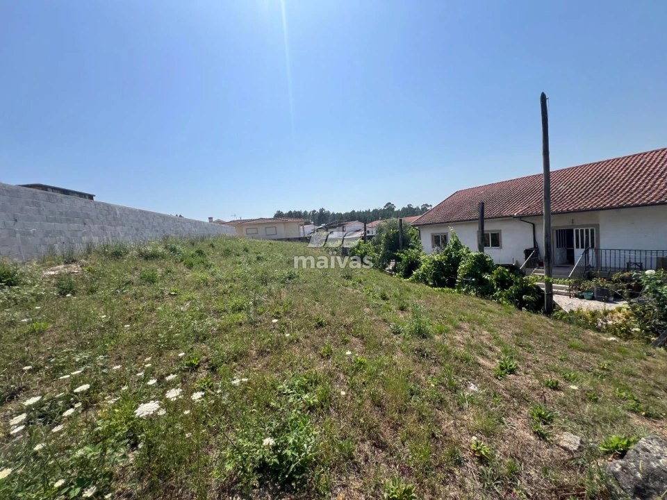 Terreno para Venda em Bico Foto 3