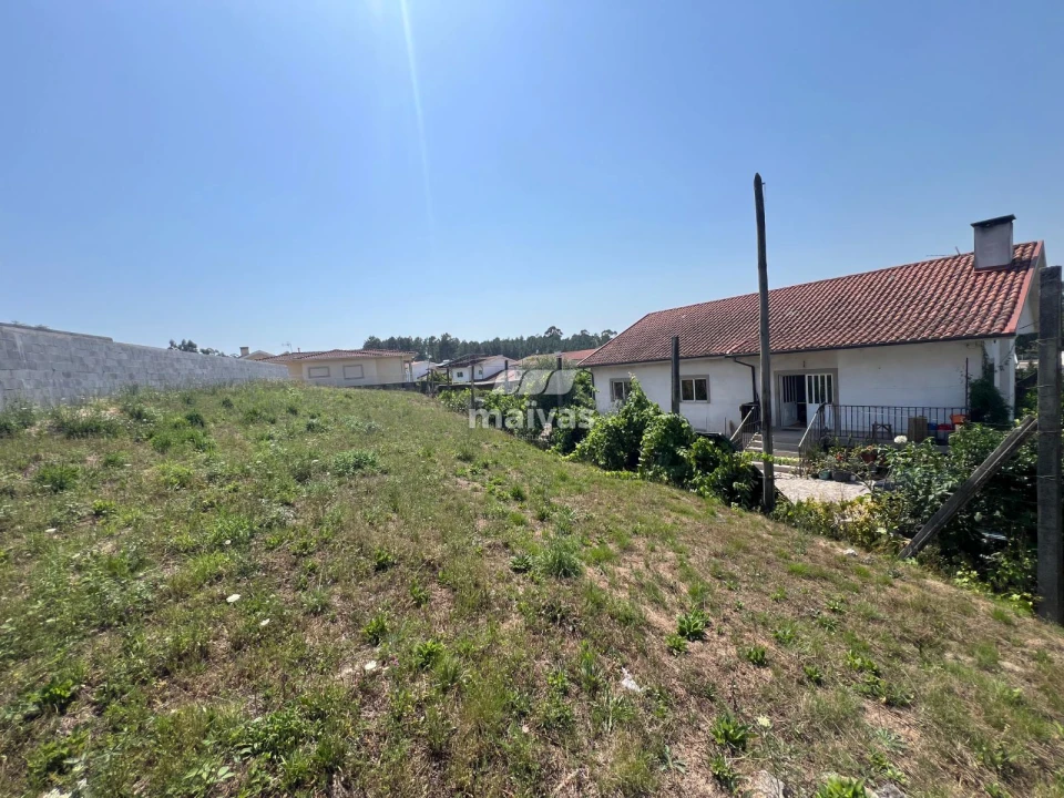 Terreno para Venda em Bico Foto 5