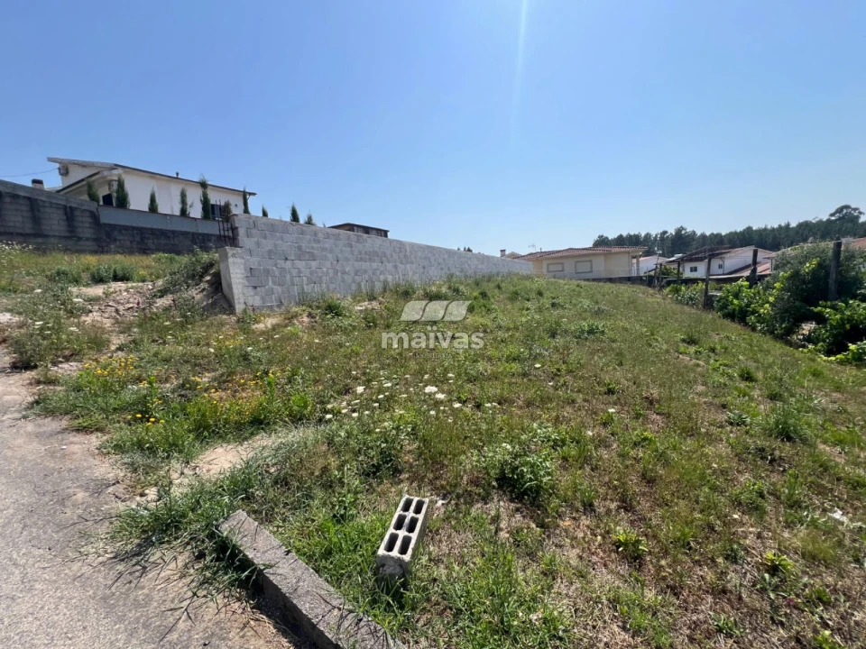 Terreno para Venda em Bico Foto 8