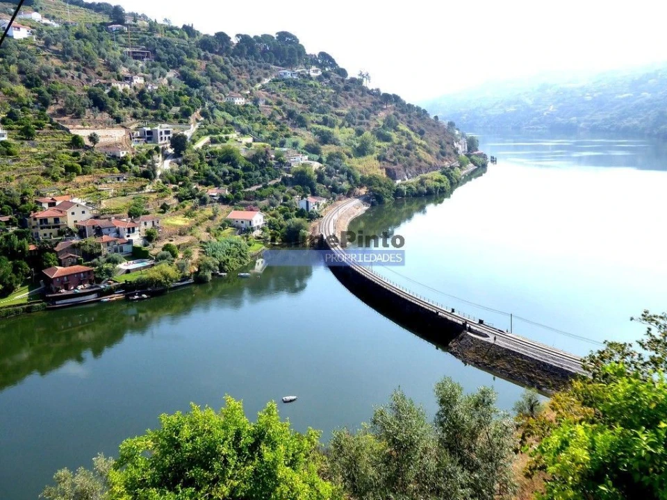 Terreno Misto para Venda em Baião (Santa Leocádia) e Mesquinhata Foto 1