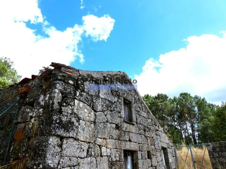 Terreno Misto para Venda em Baião (Santa Leocádia) e Mesquinhata Foto 4