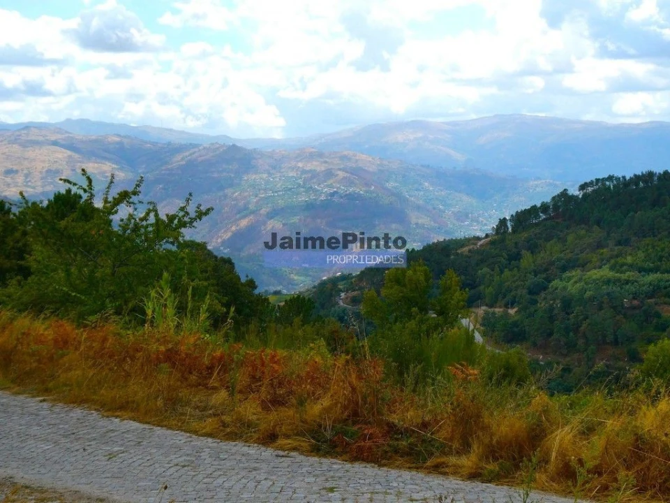 Terreno Misto para Venda em Baião (Santa Leocádia) e Mesquinhata Foto 8