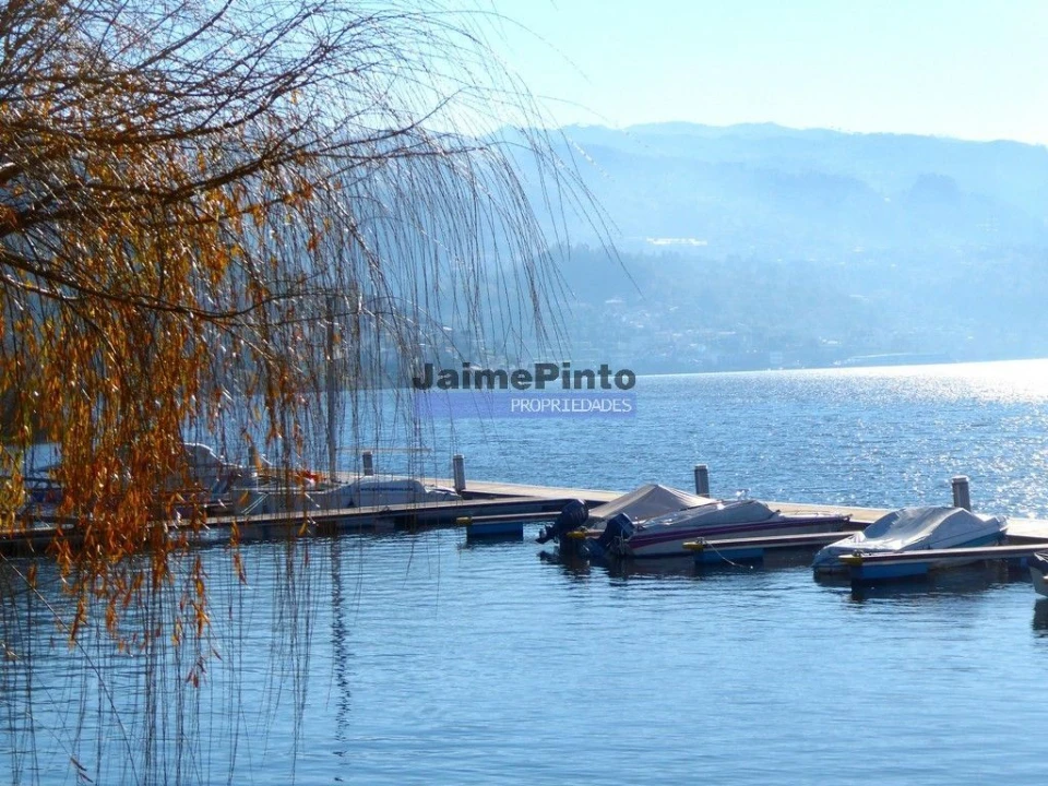 Terreno Misto para Venda em Baião (Santa Leocádia) e Mesquinhata Foto 9